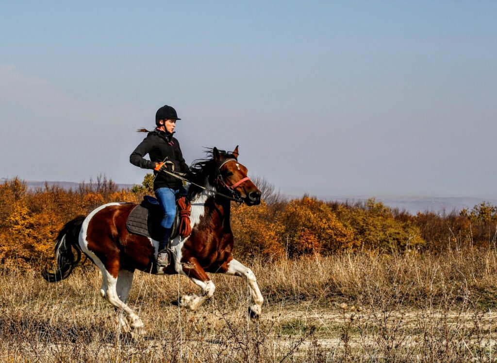 Person riding on horse