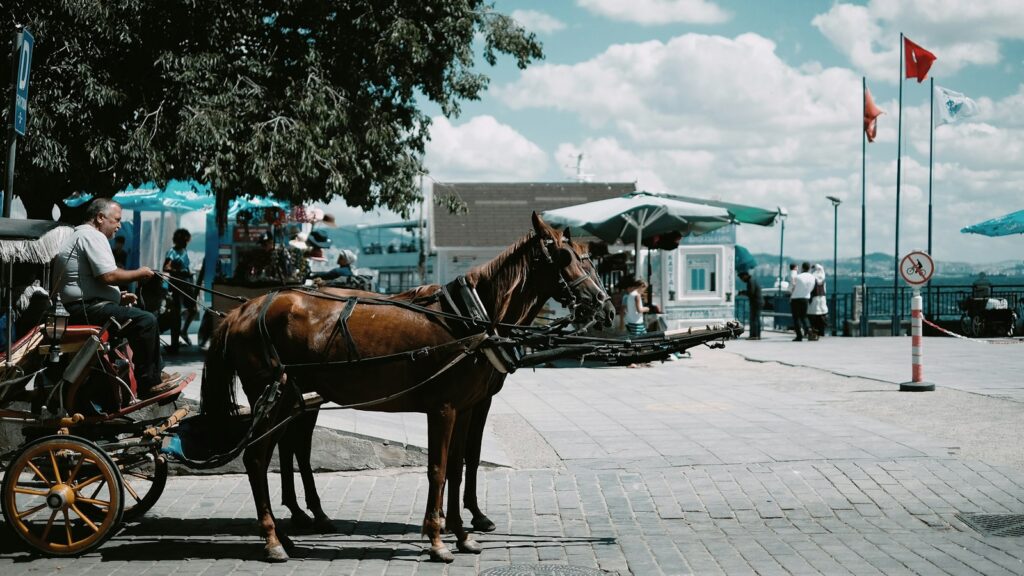 person riding horse with carriage