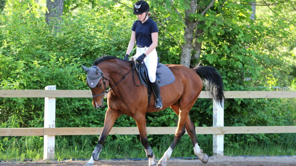 woman in white shirt riding brown horse during daytime