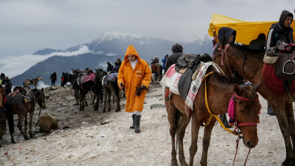 a group of people standing around a group of horses