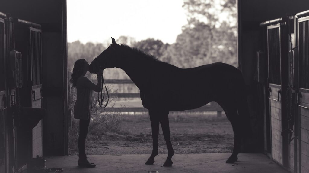 woman kissing horse