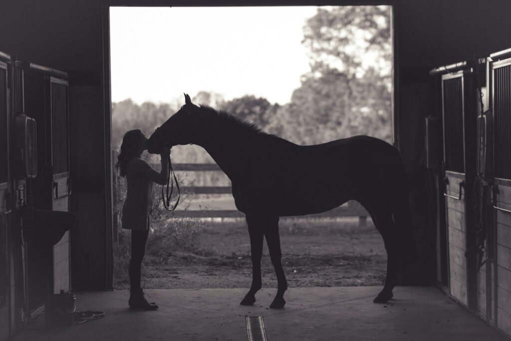 Woman kissing horse