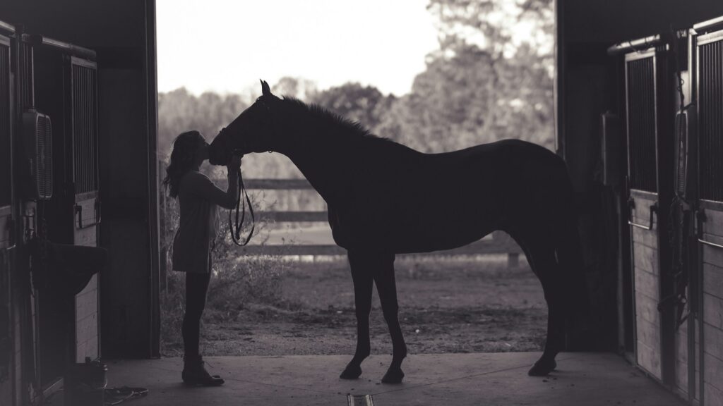 woman kissing horse