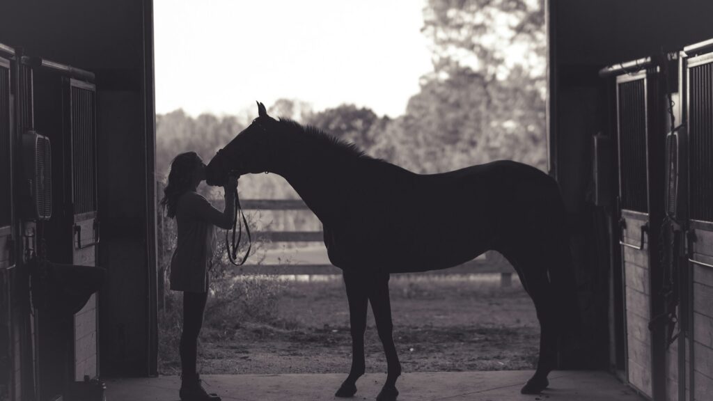 woman kissing horse