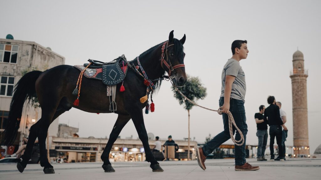 A man leads a horse through a town.