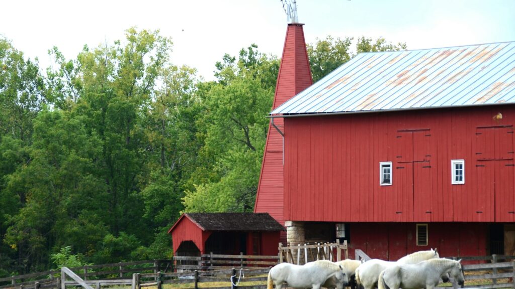 a group of horses standing in front of a red barn
