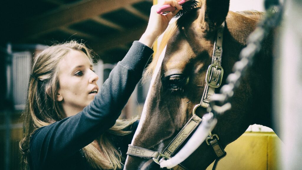 woman in black leather jacket holding horse head