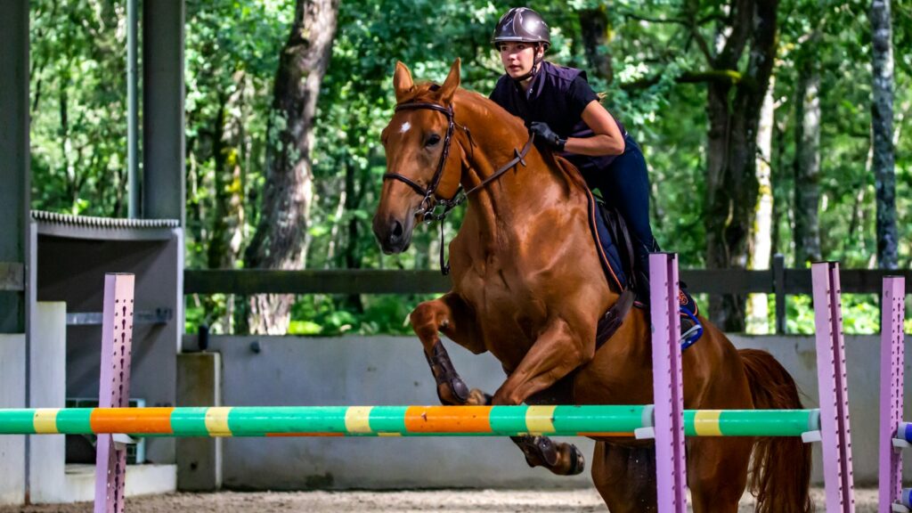 woman in black jacket riding brown horse during daytime