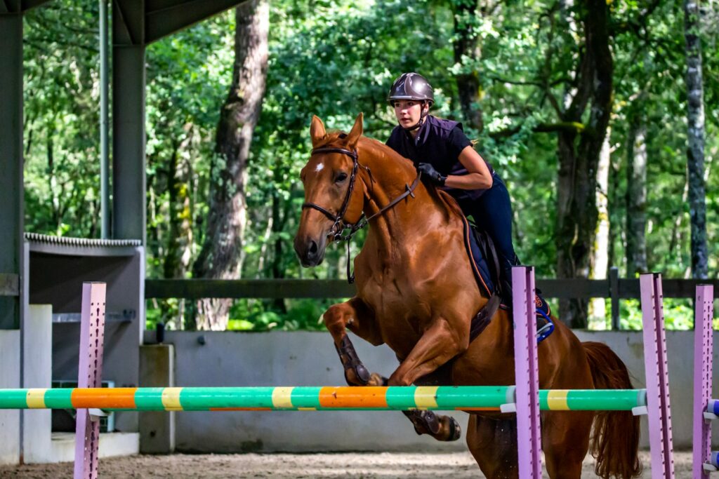 Equestrian riding brown horse