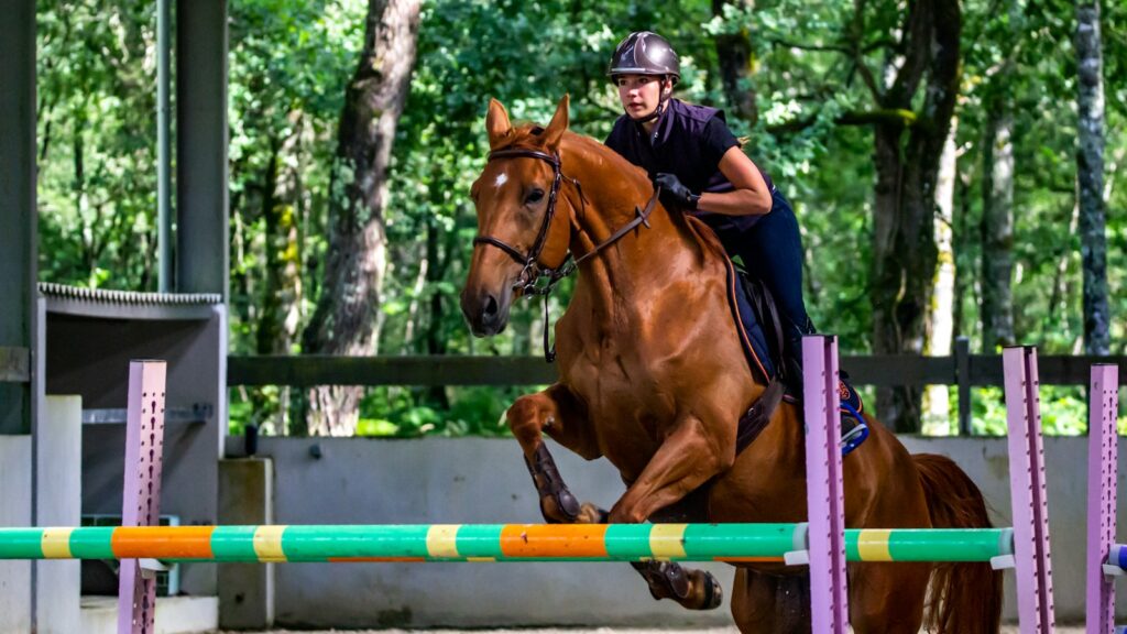 man in black jacket riding brown horse during daytime