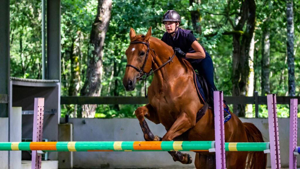 man in black jacket riding brown horse during daytime