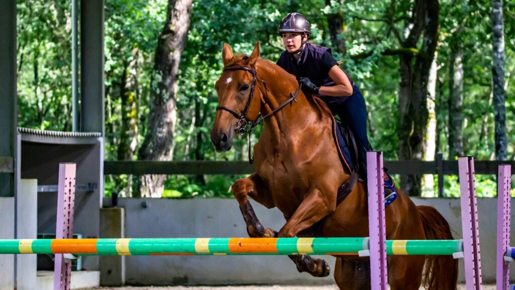 Man in black jacket riding brown horse during daytime