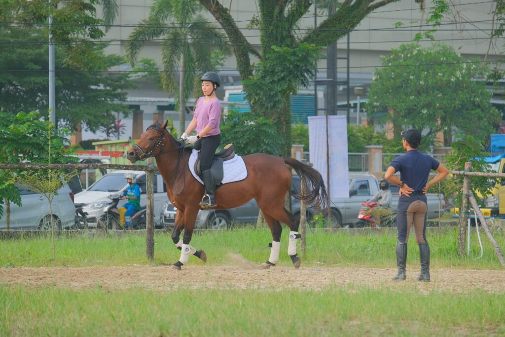 Man in white shirt riding brown horse during daytime