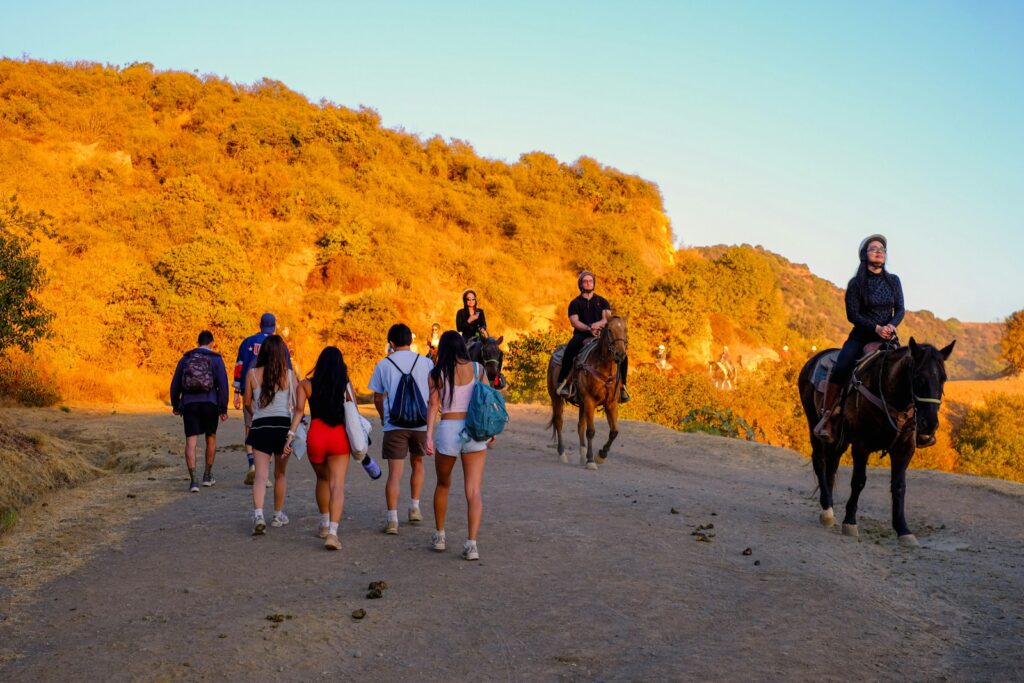 A group of people riding horses down a road