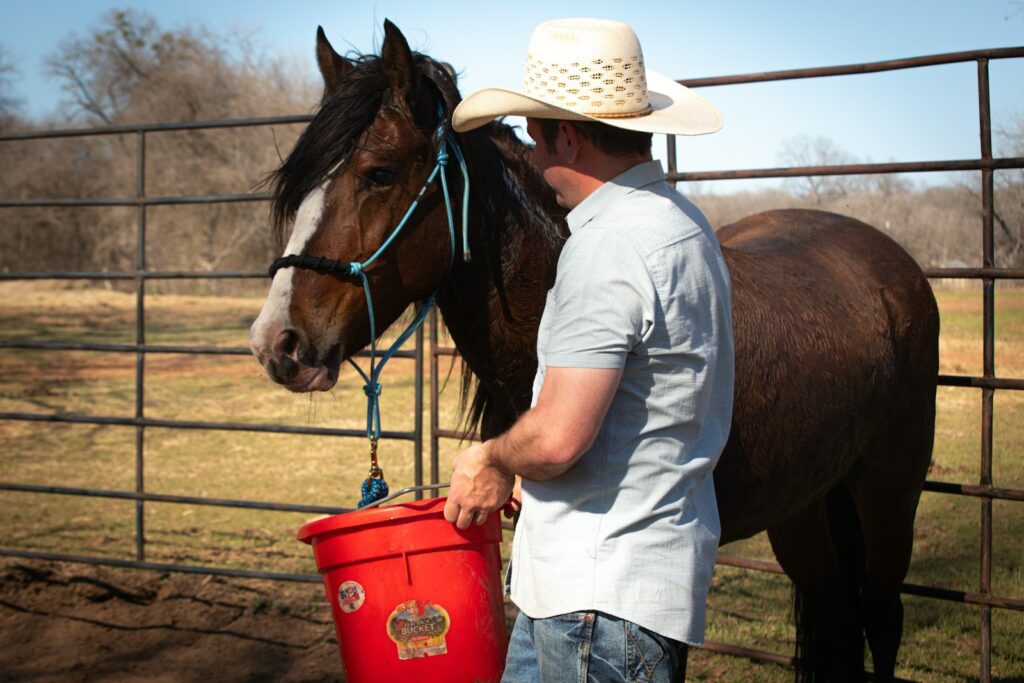 Man holding a bucket next to a horse