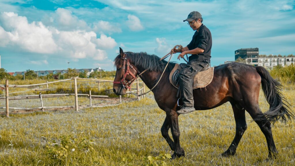a man riding a horse