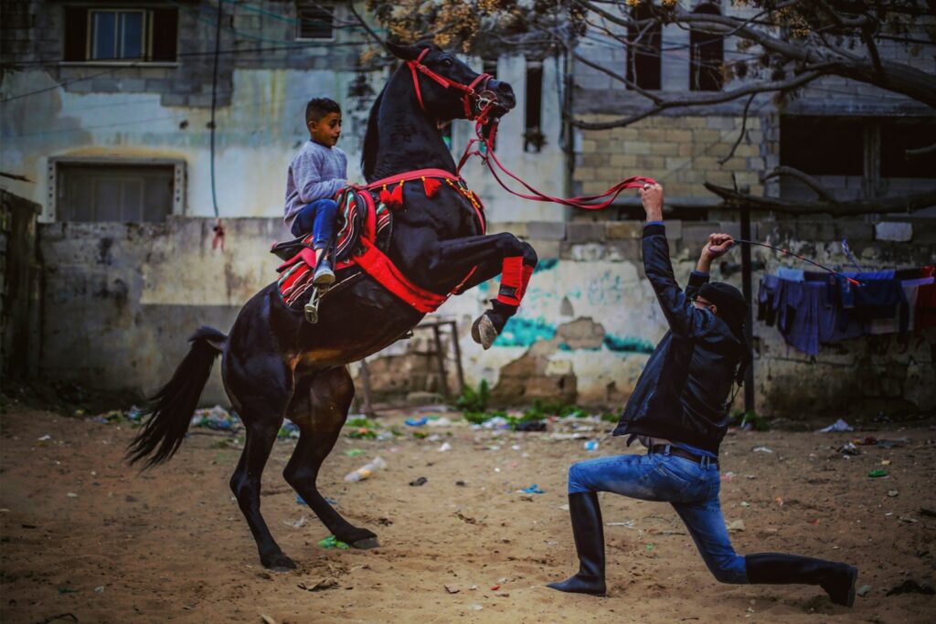 Young man on a horse and a trailer