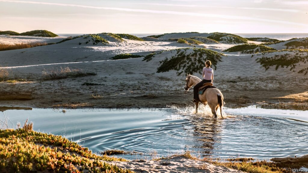 woman riding horse