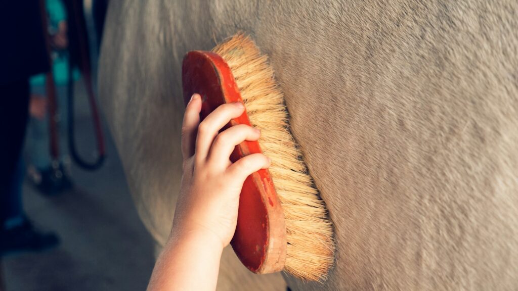 person holding a brown wooden brush