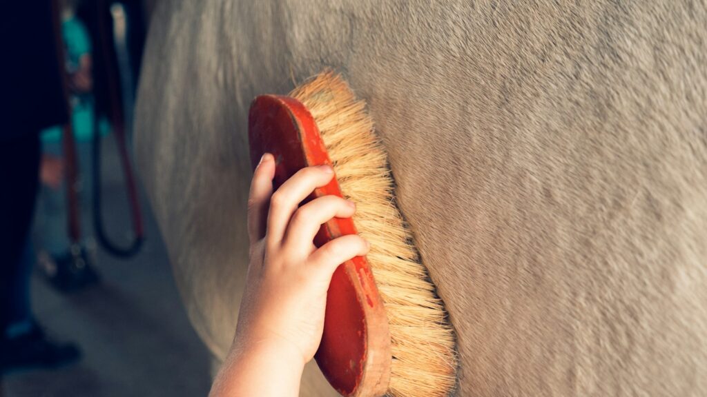 person holding brown wooden brush