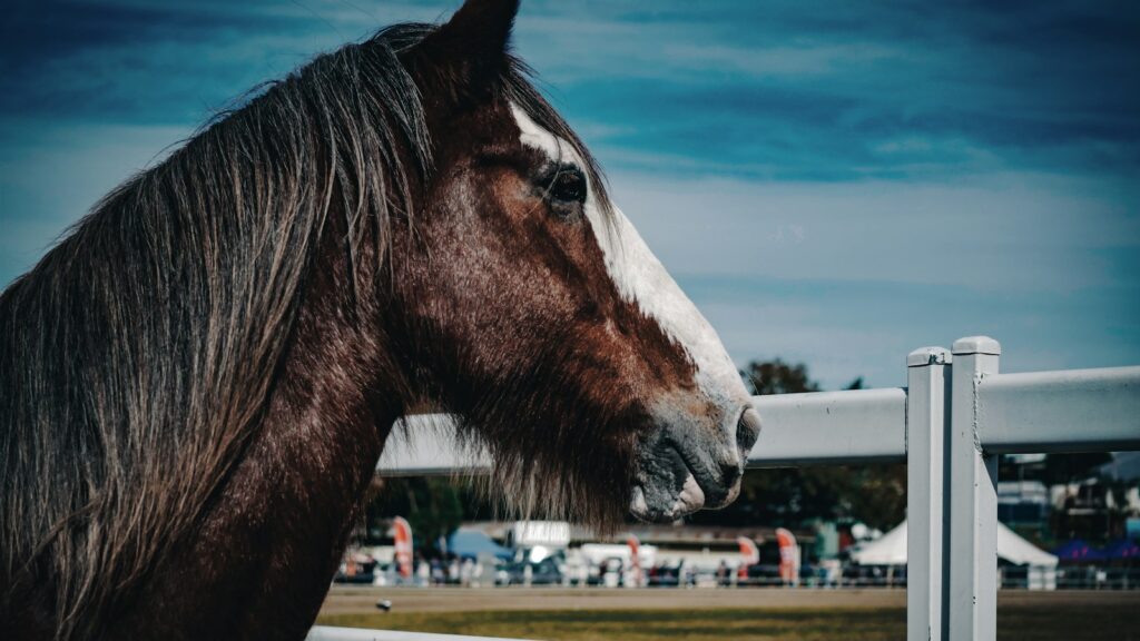 a brown horse standing next to a white fence