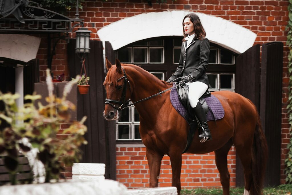 Woman in black jacket riding brown horse during daytime