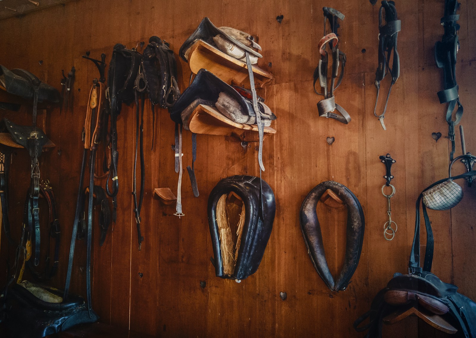 Brown leather saddles on brown wall