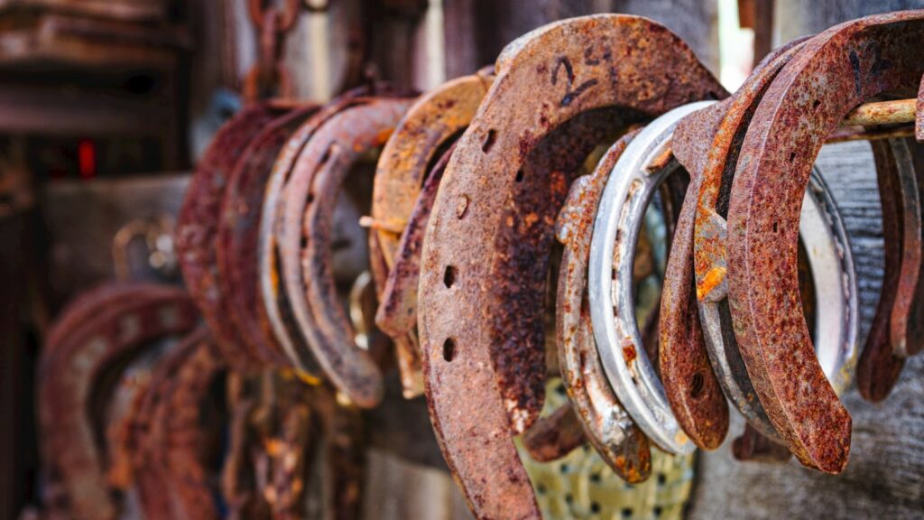 a bunch of rusty horseshoes hanging on a wooden wall
