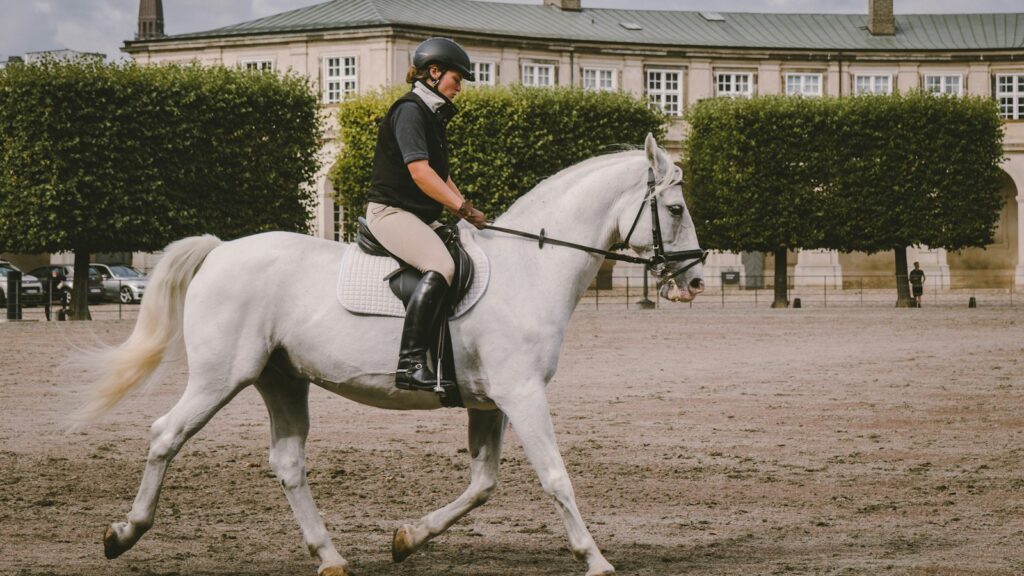 equestrian on field near building at daytime