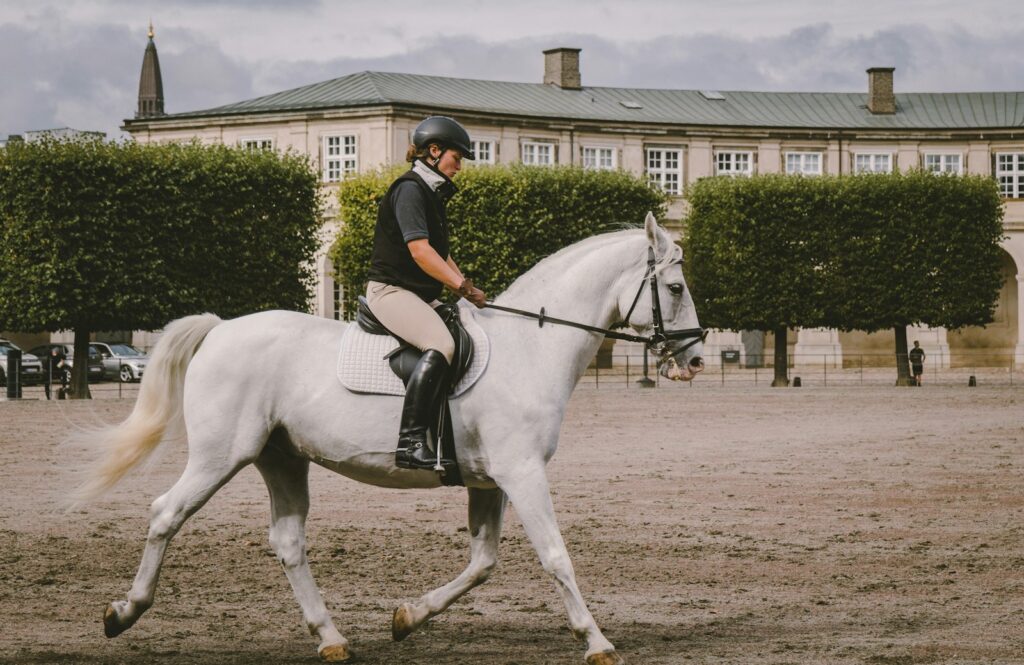 Equestrian on field near building at daytime