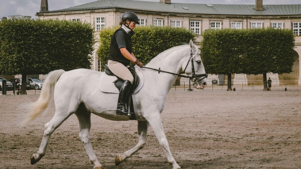 equestrian on field near building at daytime