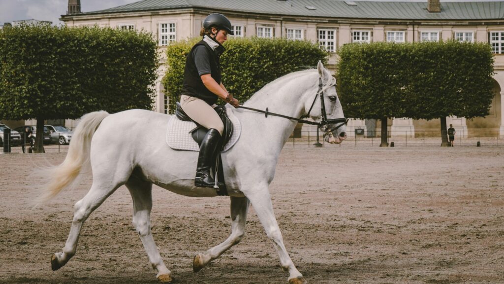 equestrian on field near building at daytime
