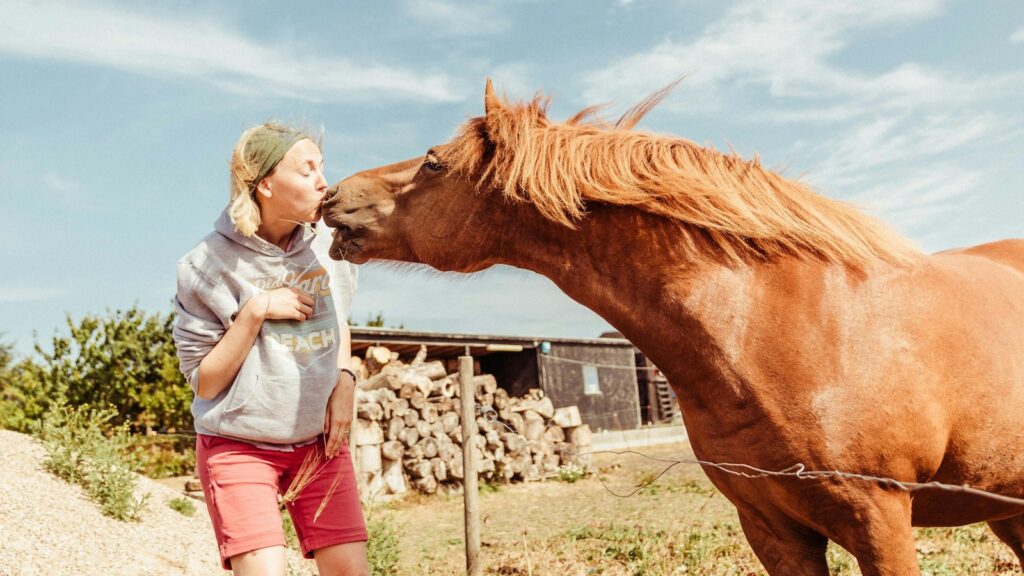 woman kissing brown horse
