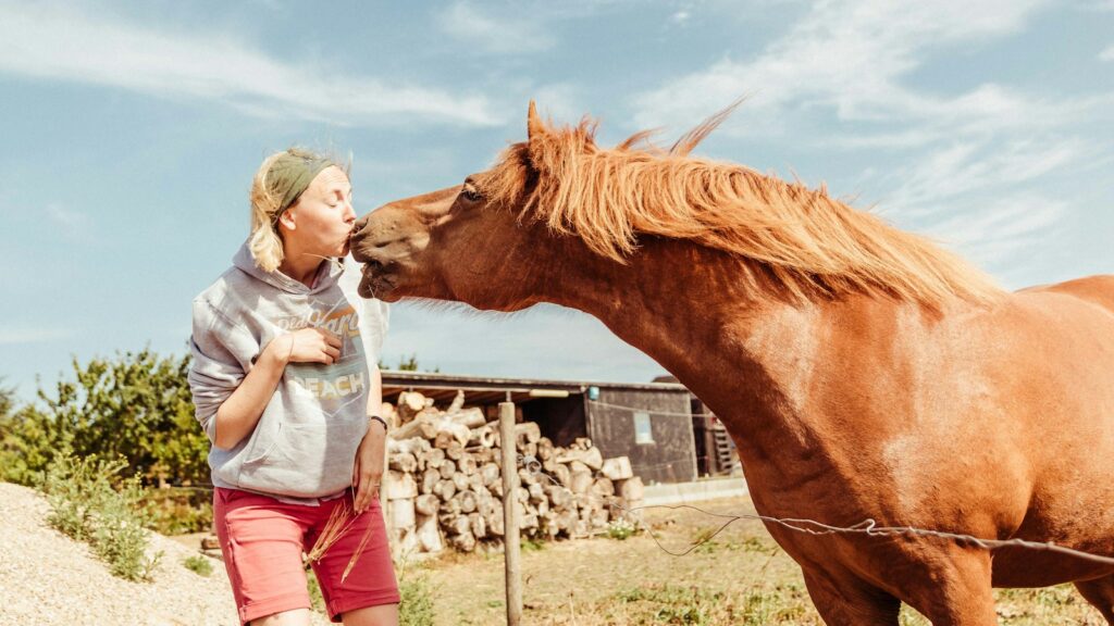 woman kissing brown horse
