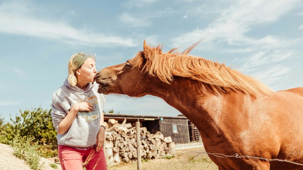 woman kissing brown horse