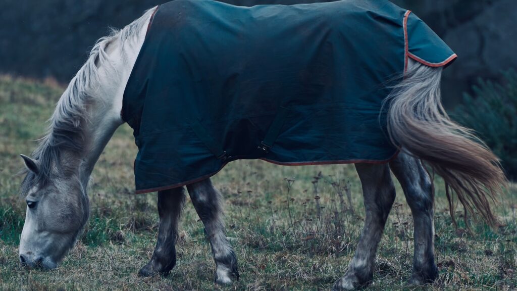a horse wearing a blanket grazing in a field