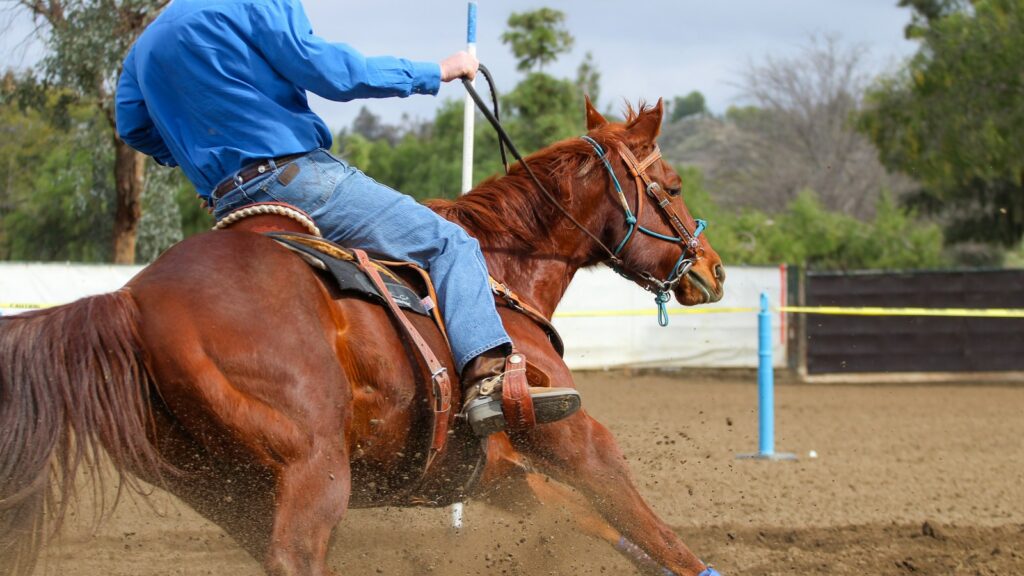 man in blue jacket riding brown horse during daytime