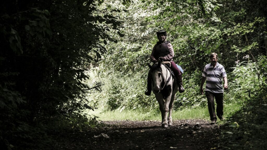 person riding on horse beside man walking on forest