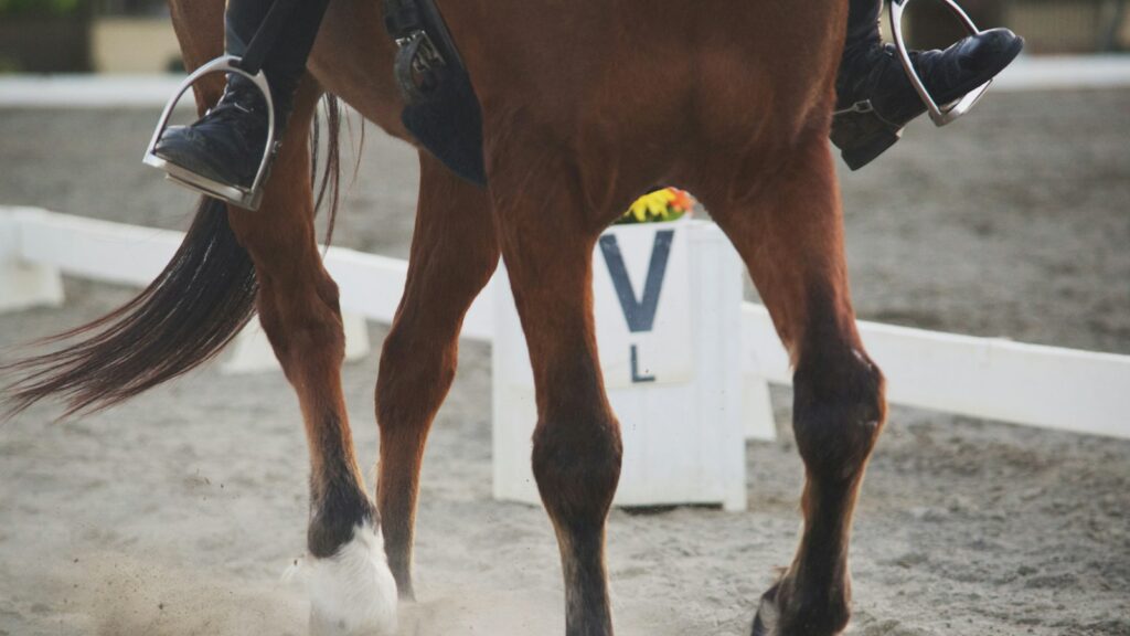 a horse running