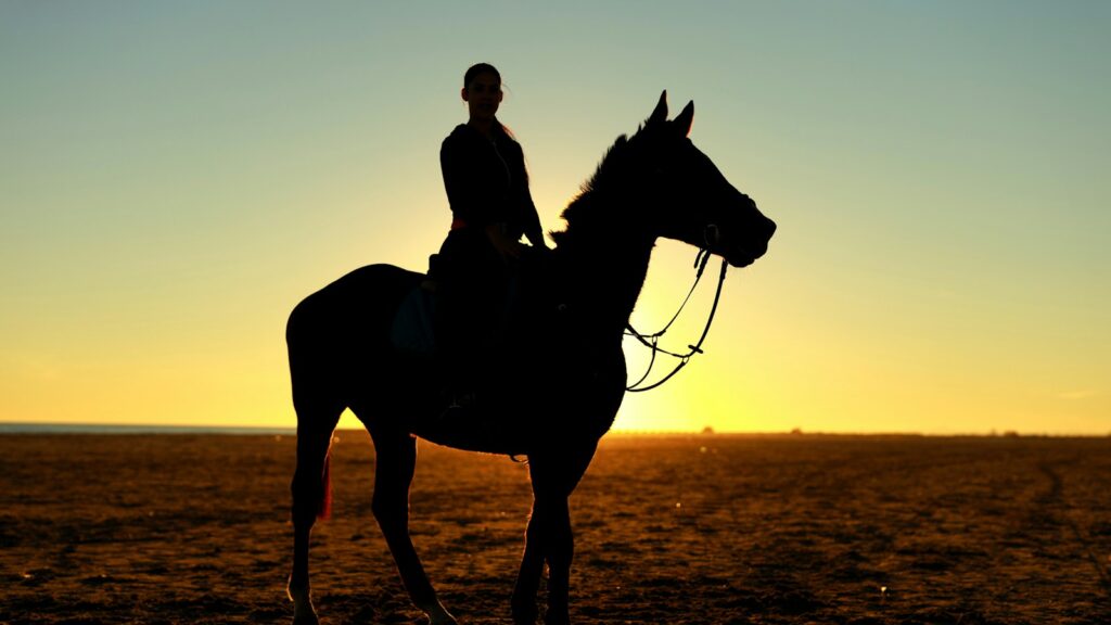 silhouette photography of person riding horse