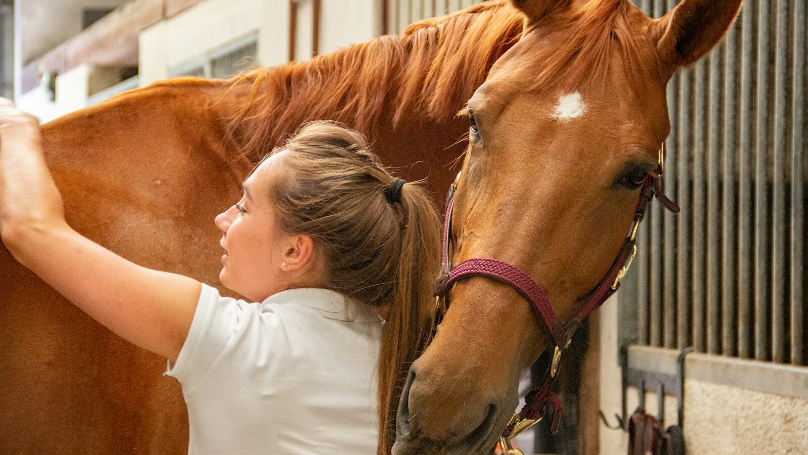 woman in white crew neck t-shirt standing beside brown horse during daytime