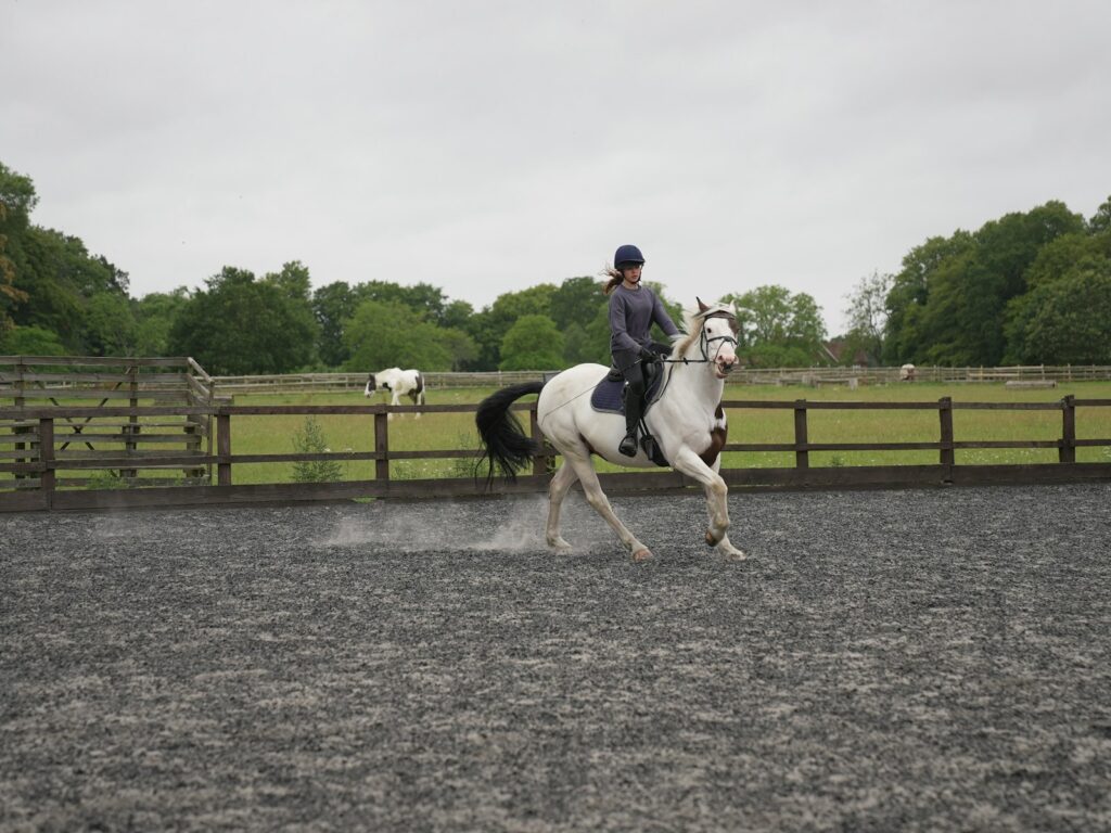 A person riding on the back of a white horse