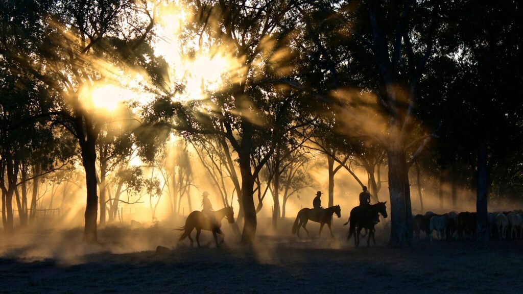 horse riders on trees