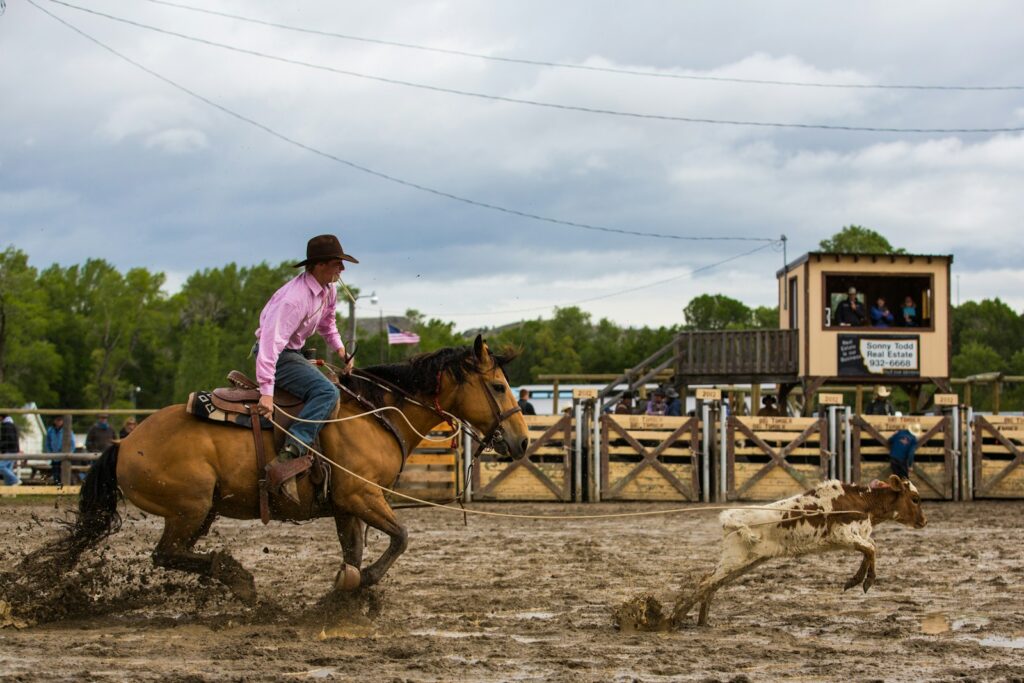 Cowboy riding brown horse during daytime