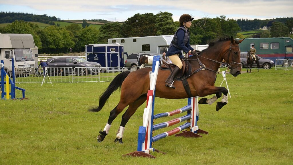 person riding on horse performing sport