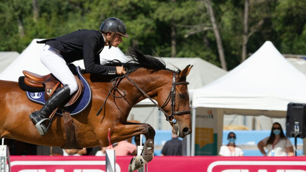 man in white and black long sleeve shirt riding brown horse during daytime