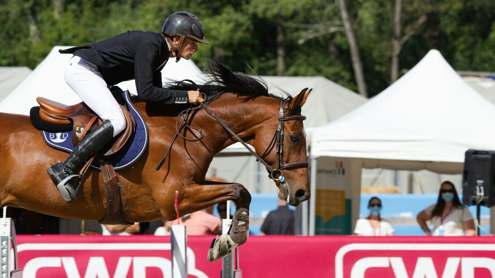 man in white and black long sleeve shirt riding brown horse during daytime