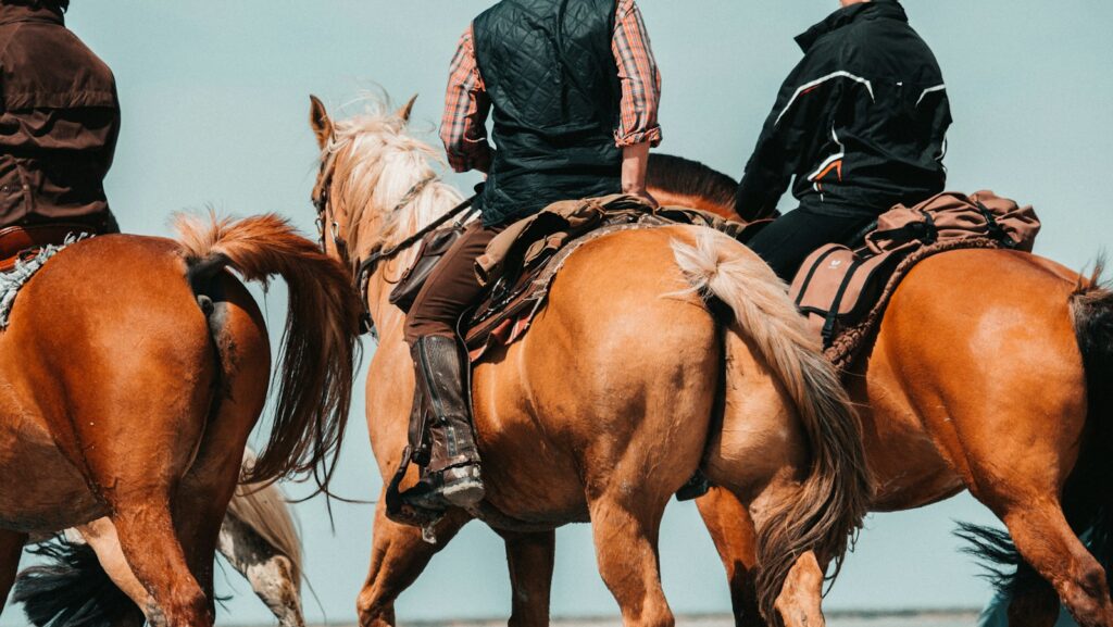 men riding horse