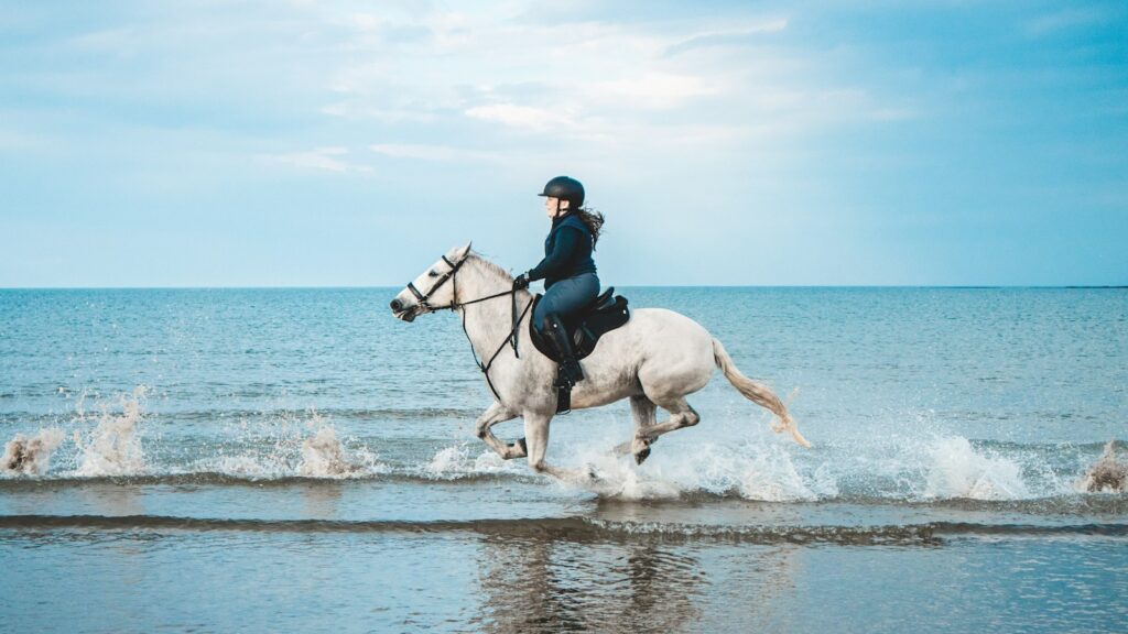 man in black jacket riding white horse on water during daytime
