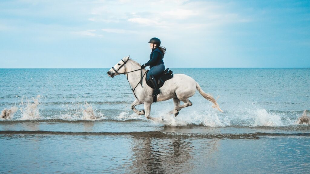 Man in black jacket riding white horse on water during daytime